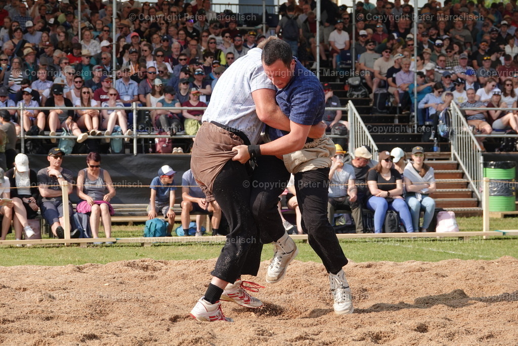 DSC04490 | Schwingen - Realisiert mit Pictrs.com