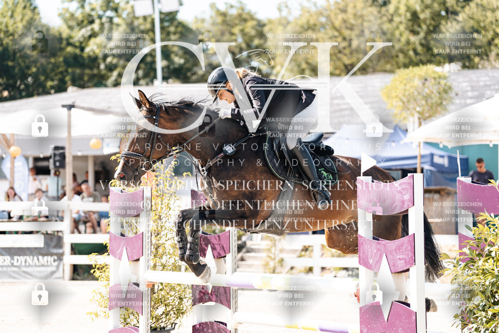 CK908398 | Turnierfotografie Pferdefotografie Trier Rheinland-Pfalz Pferdesport Reitsport Tierfotografie Sportfotografie Pferdevideo Pferdevideografie Equestrianvideography equestrianphotography  - Realisiert mit Pictrs.com