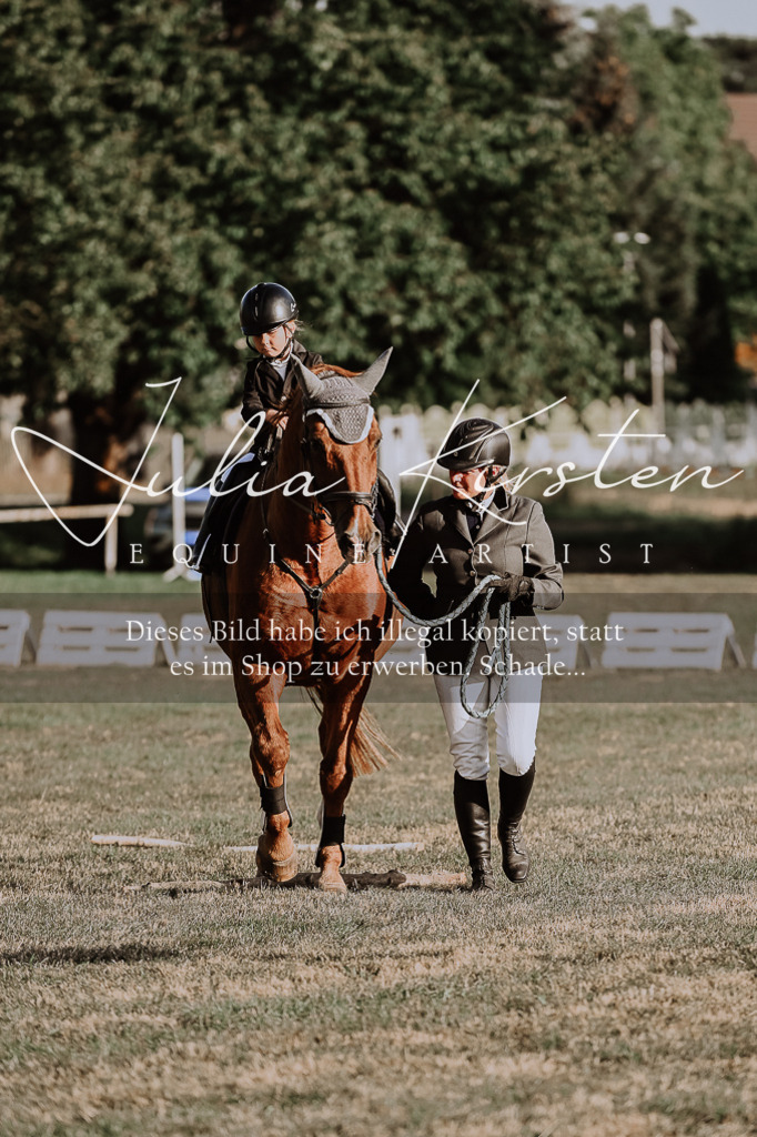 DSC_0189 | Pferde- und Turnierfotografie in Westsachsen. Pferdeportraits, Auftragszeichnungen und intuitive Kunst.