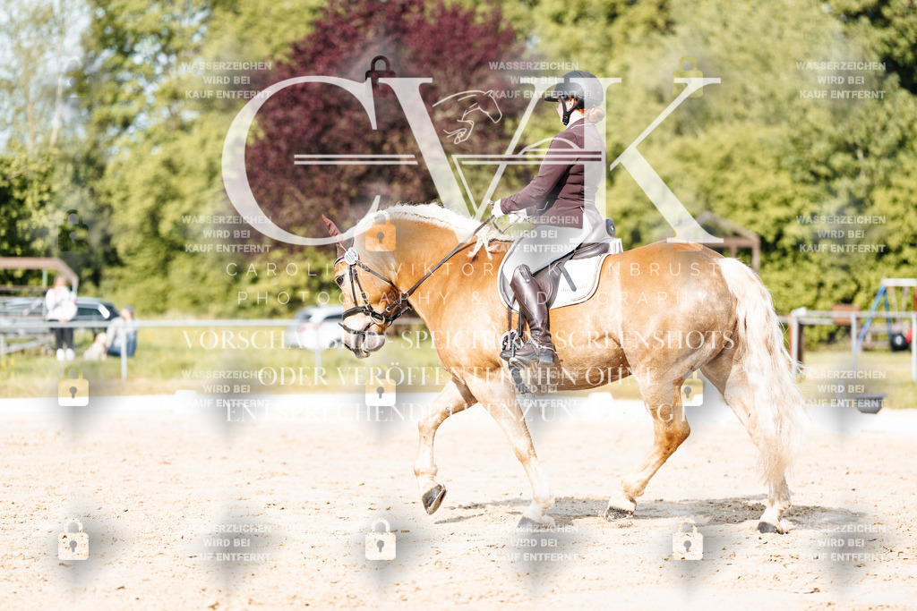 CK900273 | Turnierfotografie Pferdefotografie Trier Rheinland-Pfalz Pferdesport Reitsport Tierfotografie Sportfotografie Pferdevideo Pferdevideografie Equestrianvideography equestrianphotography  - Realisiert mit Pictrs.com