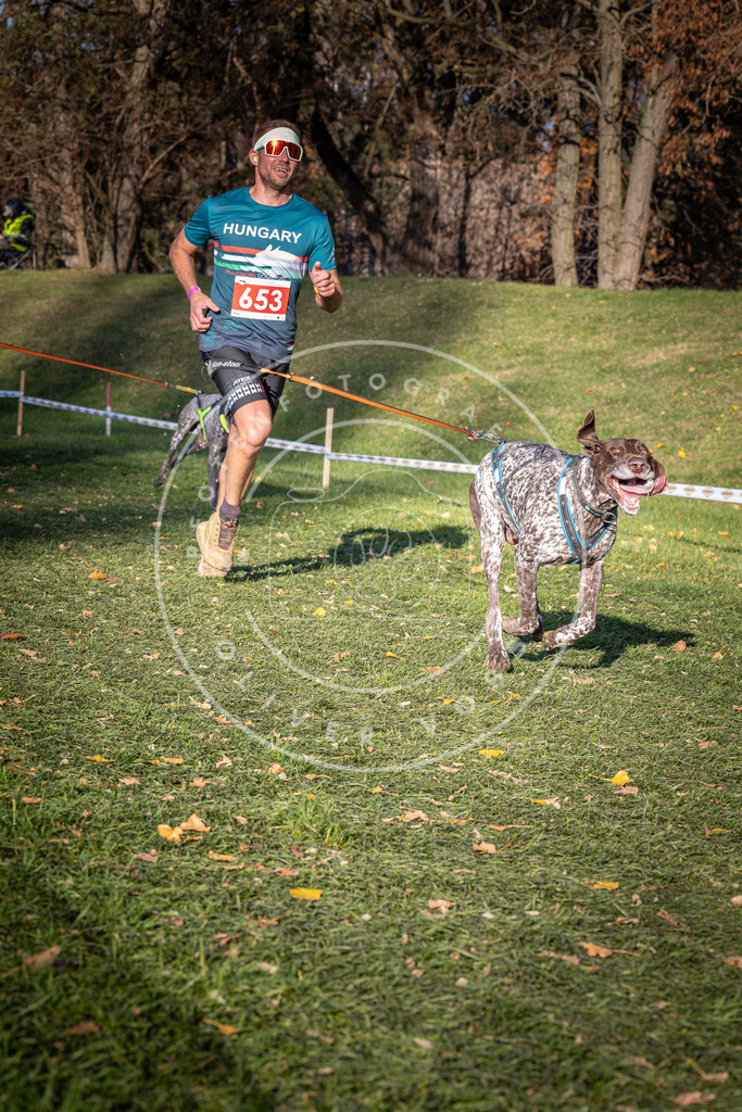 CaniXpix_0L8A9140 | Hundefotografie, Tierfotograf, Pfotenfotografie, Fotoshooting Hund, Hunde Portrait, Hundesport, Hundeportraits, Heideshooting, Hunde, Sportfotograf, Hundefotograf, Turnierhundsport, THS,  - Realisiert mit Pictrs.com