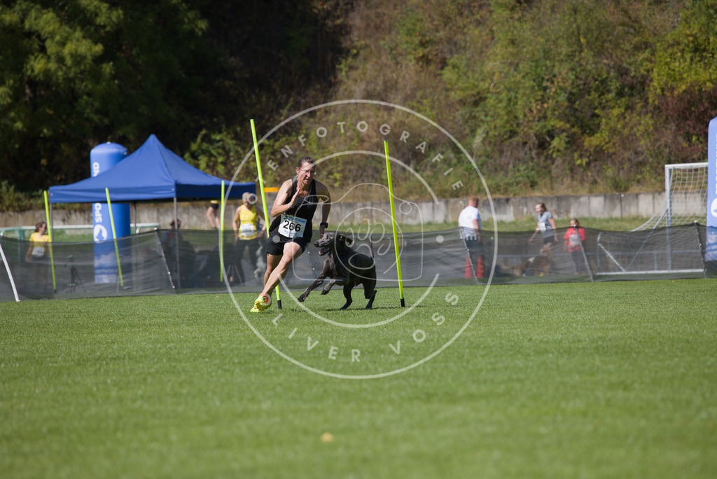 0L8A6566 | Hundefotografie, Tierfotograf, Pfotenfotografie, Fotoshooting Hund, Hunde Portrait, Hundesport, Hundeportraits, Heideshooting, Hunde, Sportfotograf, Hundefotograf, Turnierhundsport, THS,  - Realisiert mit Pictrs.com