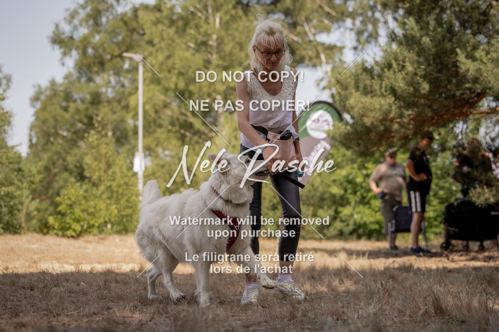 nelerasche_soDD2_200 | nelerasche