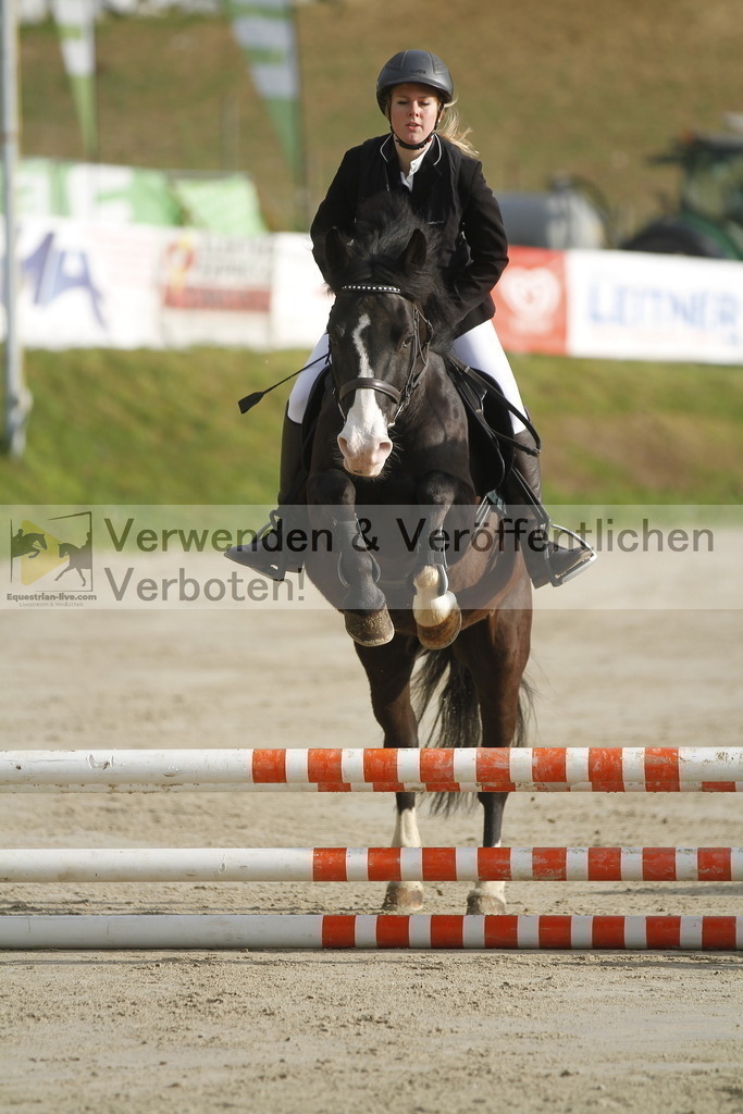 _MG_2312 | equestrian-live-com