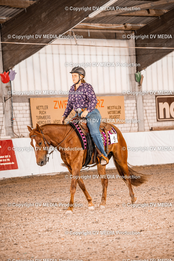 ZH100293 | dv-media-shop - Realisiert mit Pictrs.com