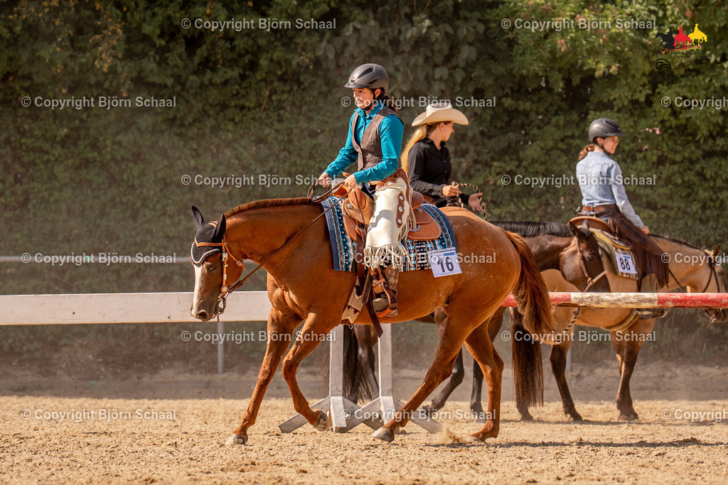 LMS08302 | BS-foto