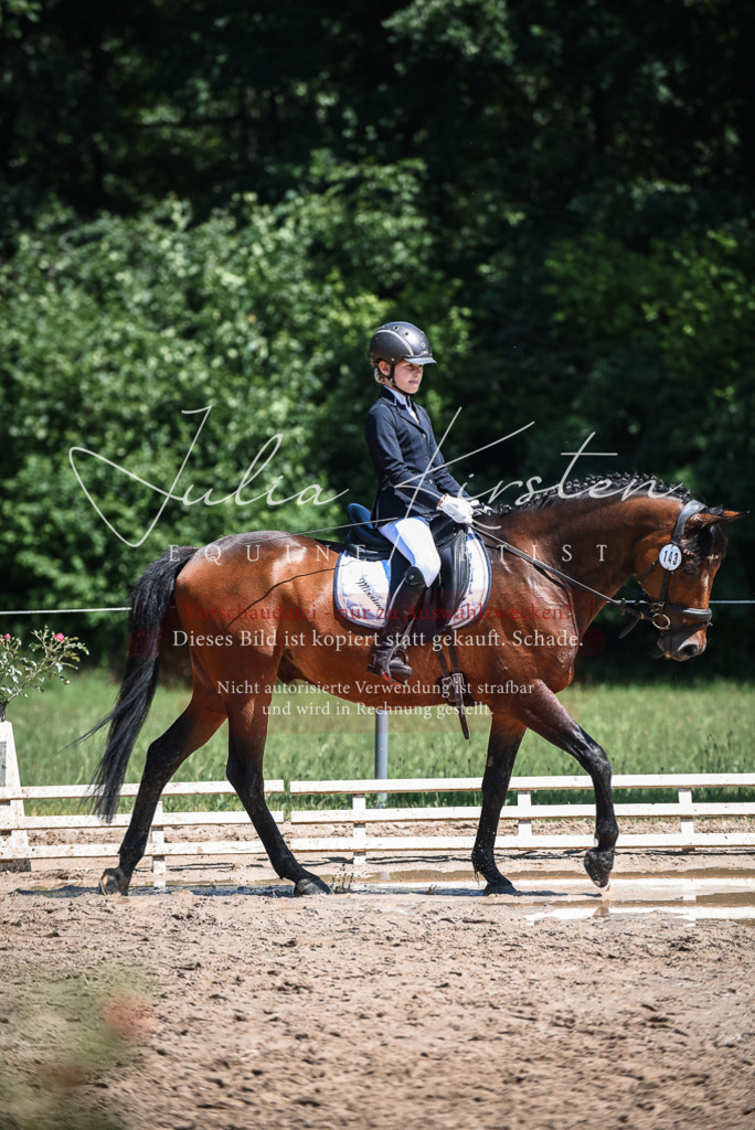 DSC_2845 | Pferde- und Turnierfotografie in Westsachsen. Pferdeportraits, Auftragszeichnungen und intuitive Kunst.