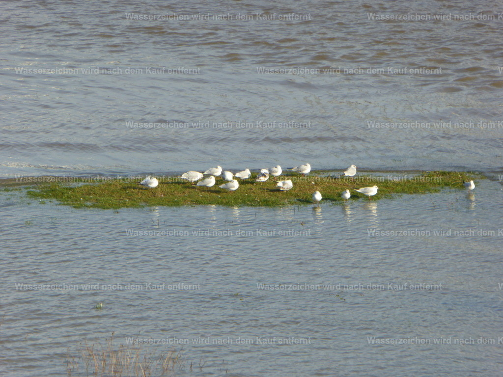 P1000753 | Entdecken Sie die faszinierende Welt von Norbert Michels: Surreale Kunstwerke, hochwertige Fotos, Leinwandbilder & Fotoprodukte wie Tassen mit bild7 - Realisiert mit Pictrs.com