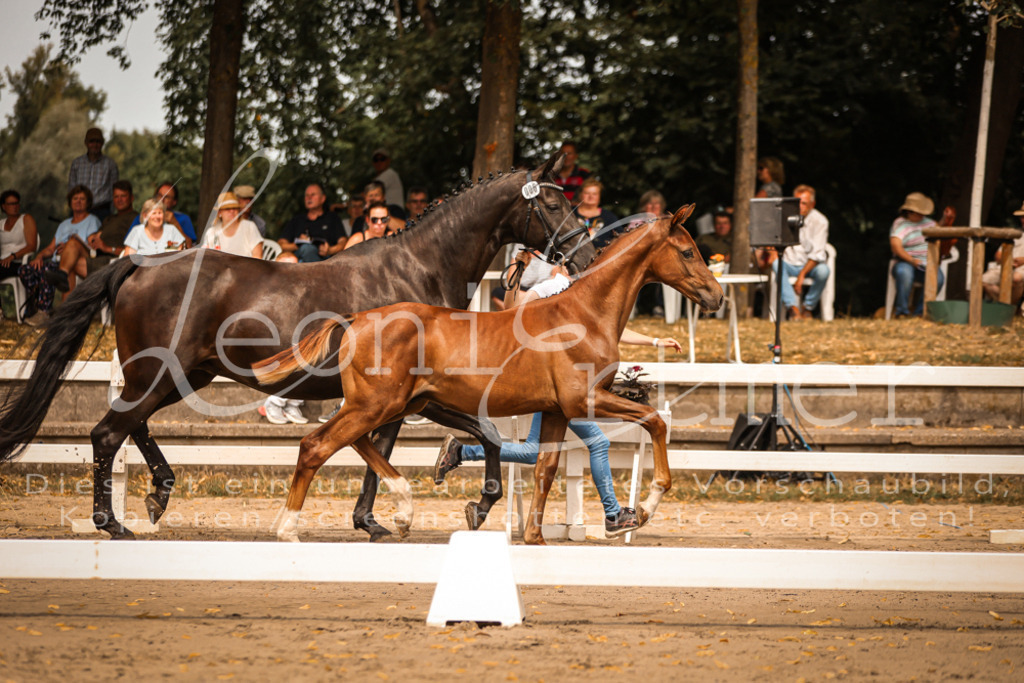 SaPA00097 | Leoni Ertmer Photography - Realisiert mit Pictrs.com