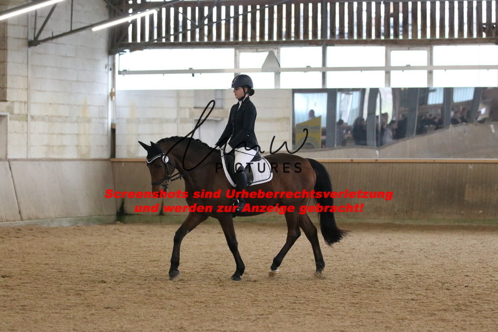 IMG_3937 | lmwpictures - Realisiert mit Pictrs.com