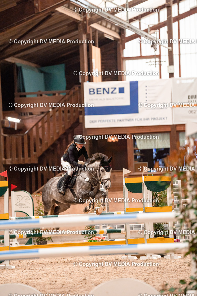 Springen Tag 3-040 | dv-media-shop - Realisiert mit Pictrs.com