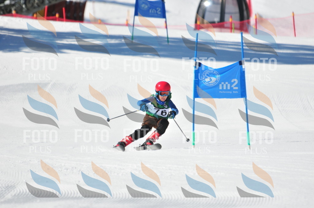 C3060 | holidayphoto