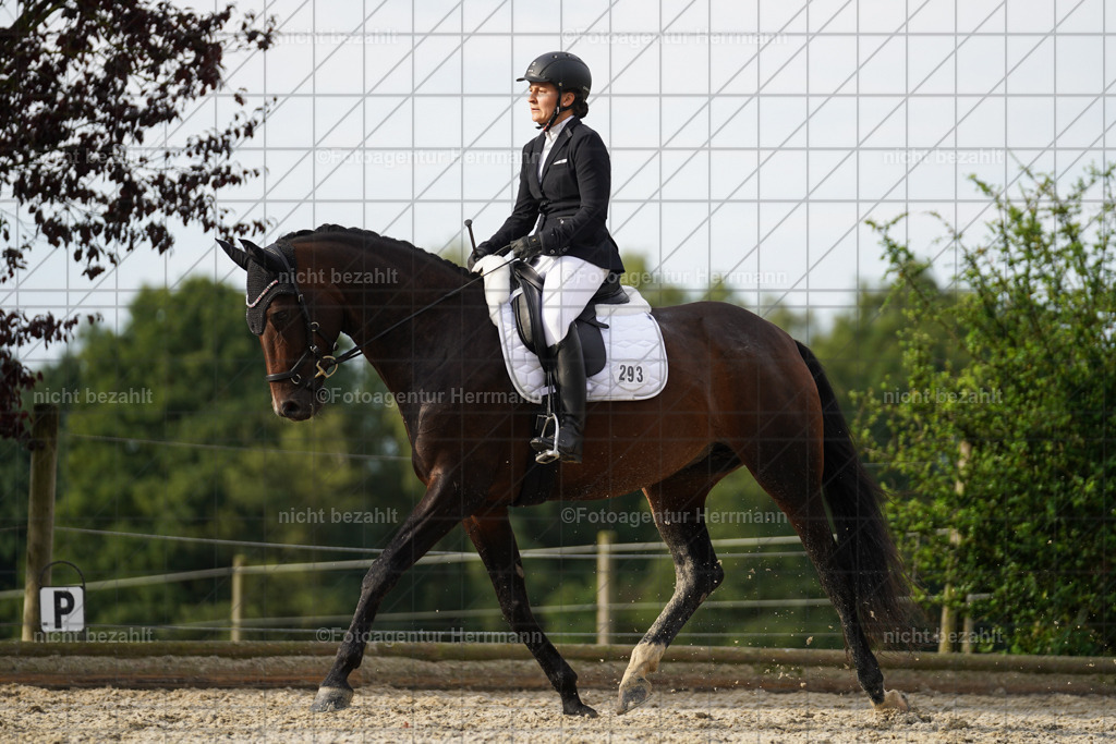 20230826-FAH04512 | Forstinning, 2023, Dressurturnier, Turniersportbilder, Turnierfotografen Bayern, Fotoagentur Herrmann, Reitsportfotografie, Turnierbilder