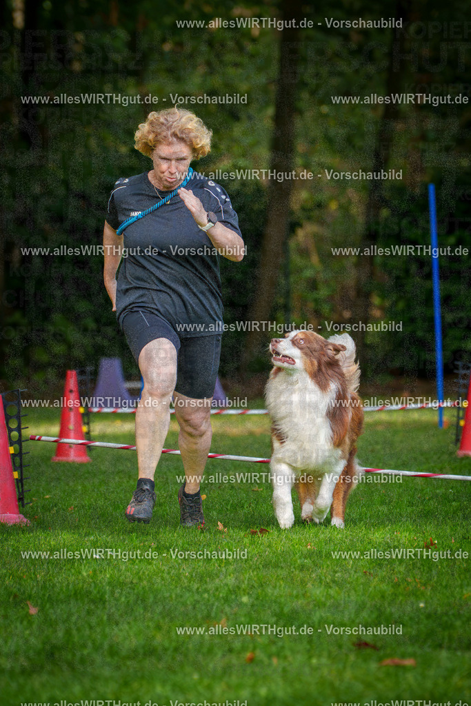 THS_Turnier_27-09-2026-allesWIRTHgut_Tierfotografie-7R506899 | Professionelle Tierfotografie in Mönchengladbach von Daniel Wirth (allesWIRTHgut). Liebevolle & natürliche Bilder von Hunden & Katzen für unvergessliche Erinnerungen.