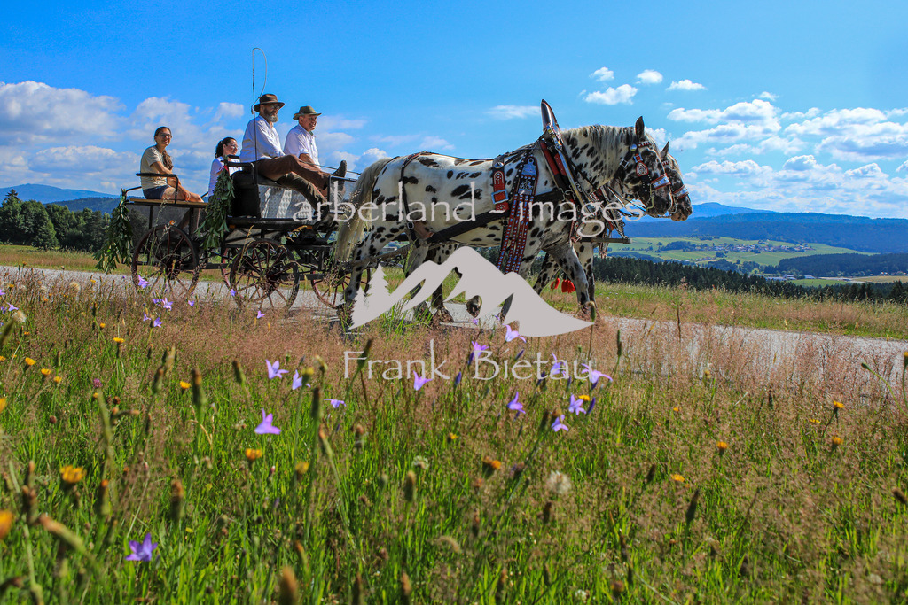 OE7A9852 | Medien- Sport- Entertainmentfotos