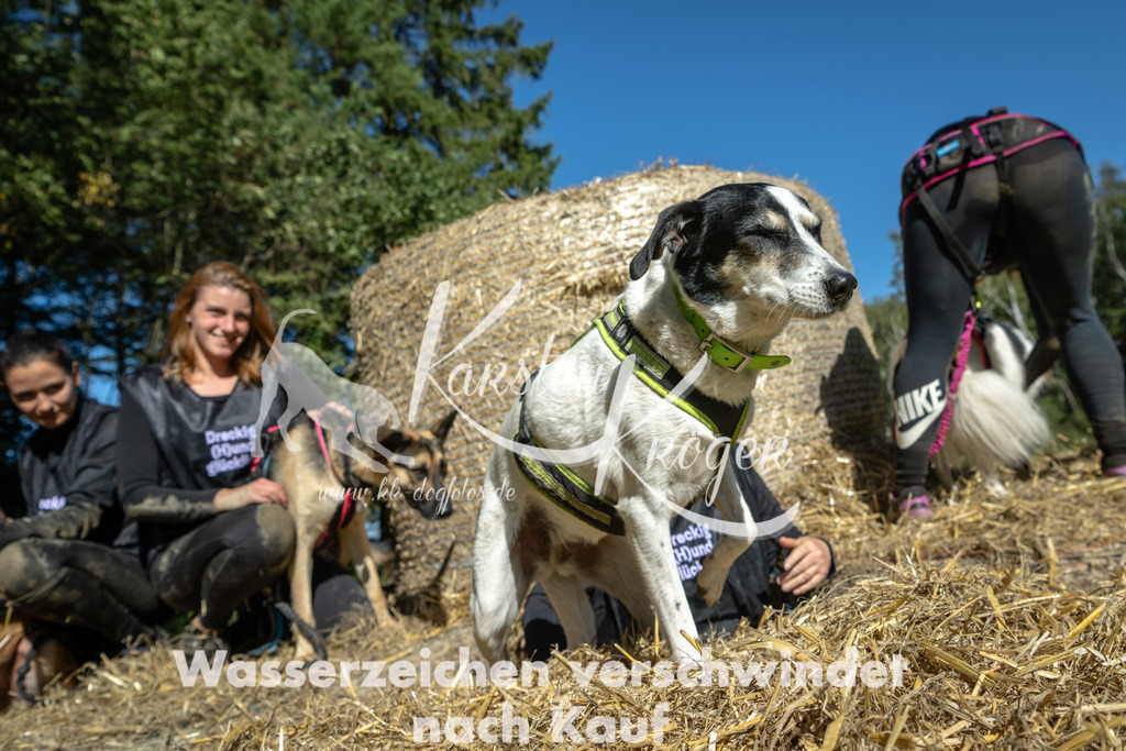 1245_ZZ92168-2 | kk-dogfotos