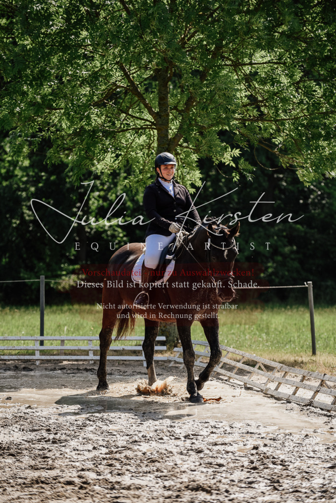 DSC_0160 | Pferde- und Turnierfotografie in Westsachsen. Pferdeportraits, Auftragszeichnungen und intuitive Kunst.