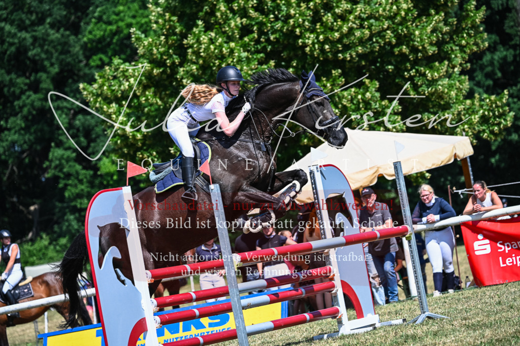 DSC_0981 | Pferde- und Turnierfotografie in Westsachsen. Pferdeportraits, Auftragszeichnungen und intuitive Kunst.