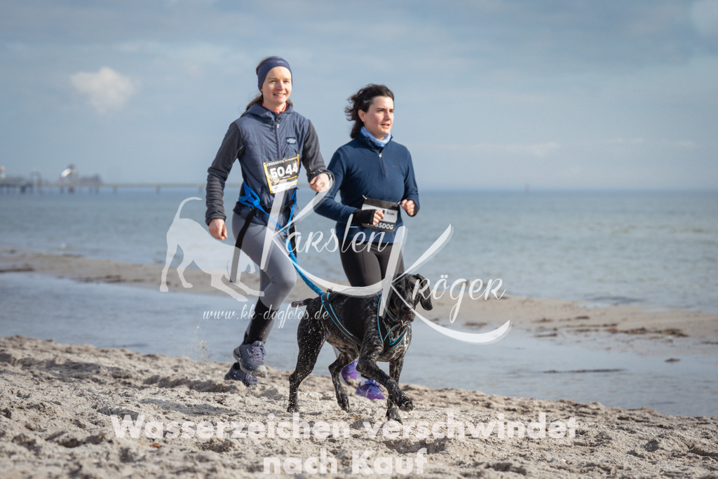 1234_ZZ97122 | kk-dogfotos