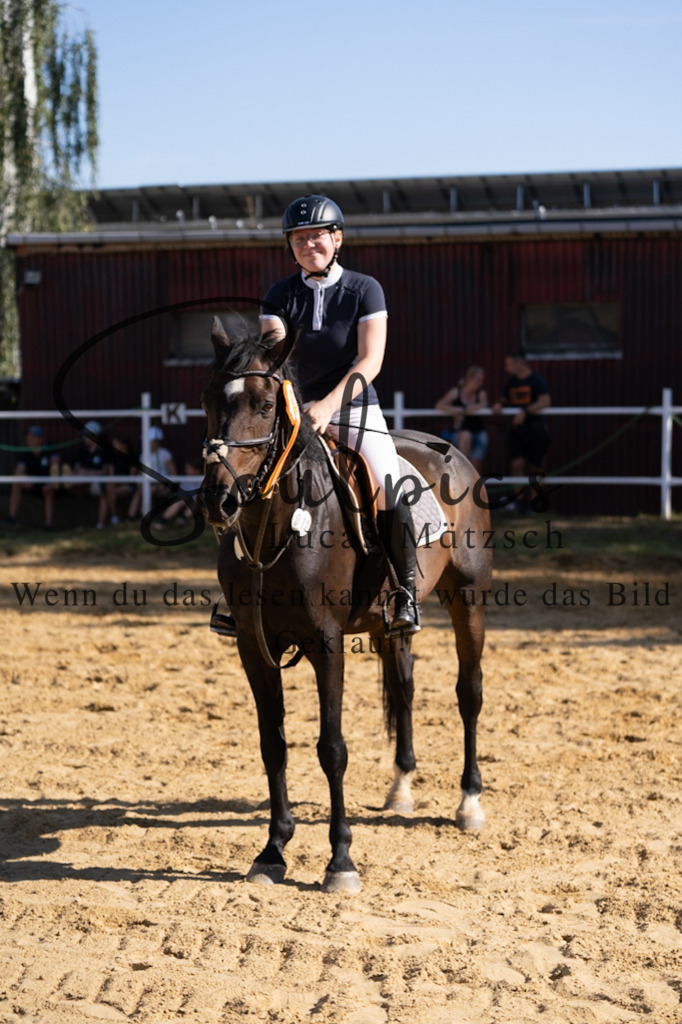 A7V02538 | Pferdefotograf