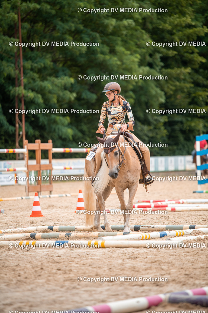 ZS2_8007 | dv-media-shop - Realisiert mit Pictrs.com