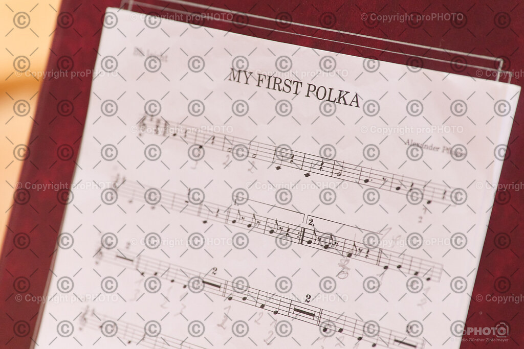 102_202601_MVS-Neujahrskonzert_NZ9_6040 | proPHOTO - Realisiert mit Pictrs.com