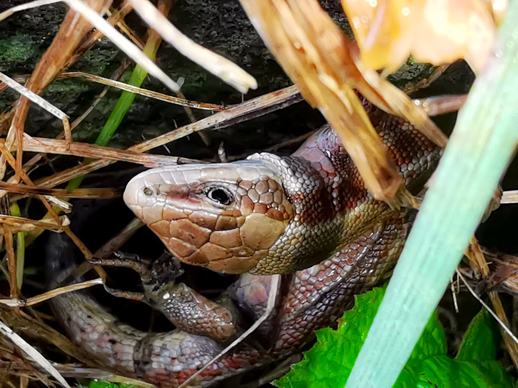 PSX_20230515_222455 | mtkfoto_ - Realisiert mit Pictrs.com