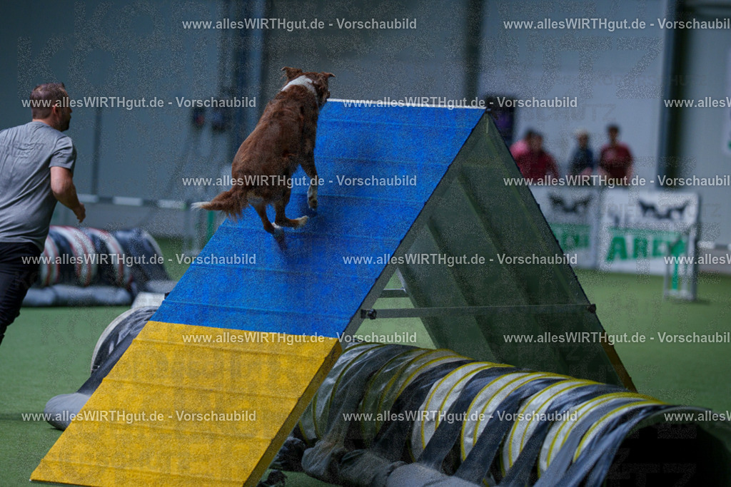 @allesWIRTHgut_Tierfotografie - www.allesWIRTHgut.de - 2604251227-7R501774 | Professionelle Tierfotografie in Mönchengladbach von Daniel Wirth (allesWIRTHgut). Liebevolle & natürliche Bilder von Hunden & Katzen für unvergessliche Erinnerungen.