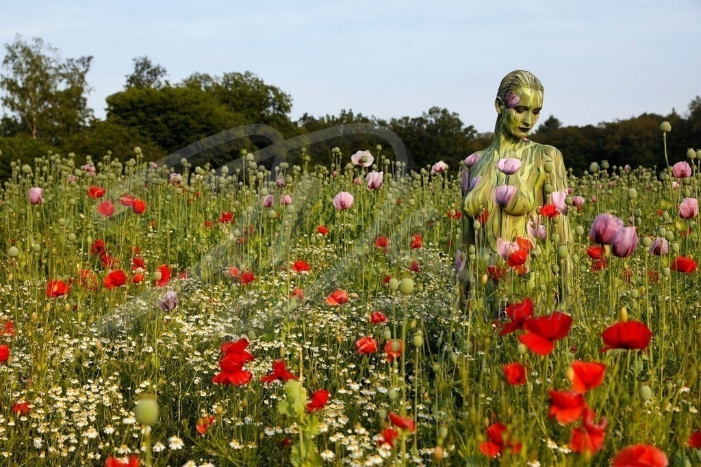 NatureArt-MOHNMIX_0671a | Anmut zwischen Mohnblumen | #011 | Modell: Tina | Foto: Tschiponnique Skupin - Realisiert mit Pictrs.com