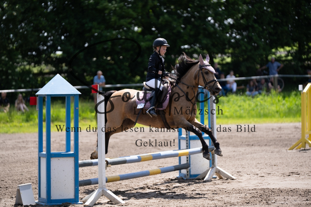 A7V04469 | Pferdefotograf