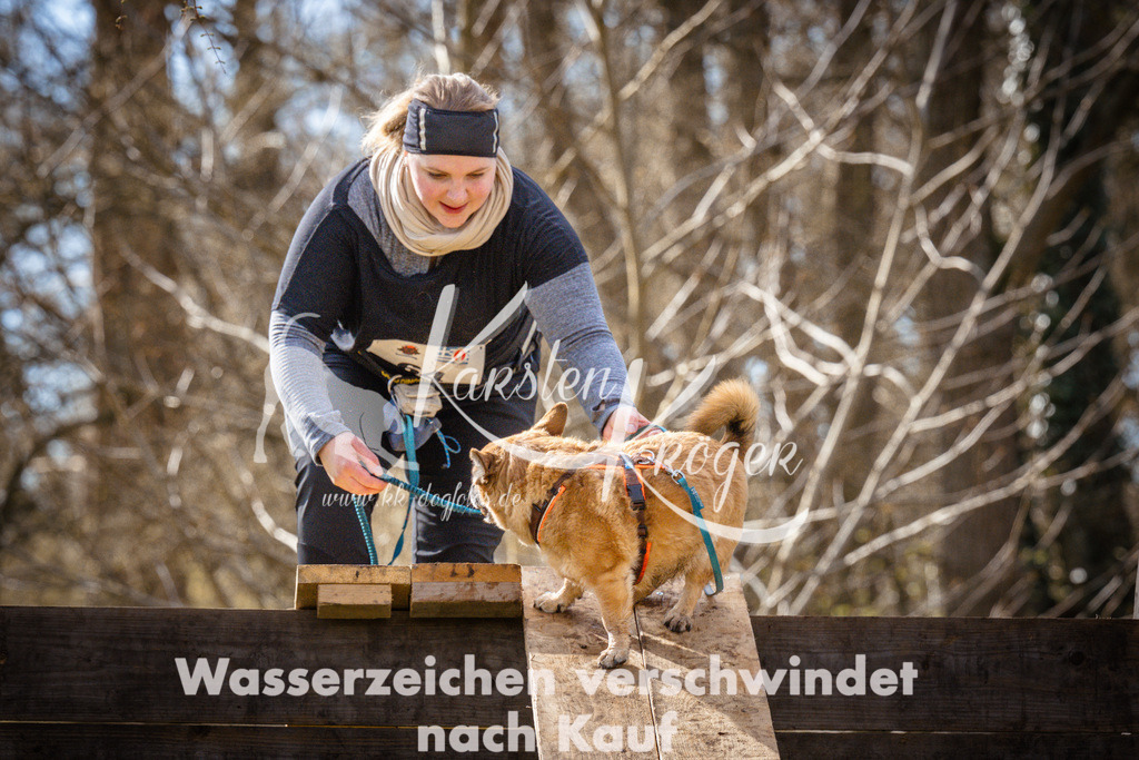 0911_ZZ94040-2 | kk-dogfotos