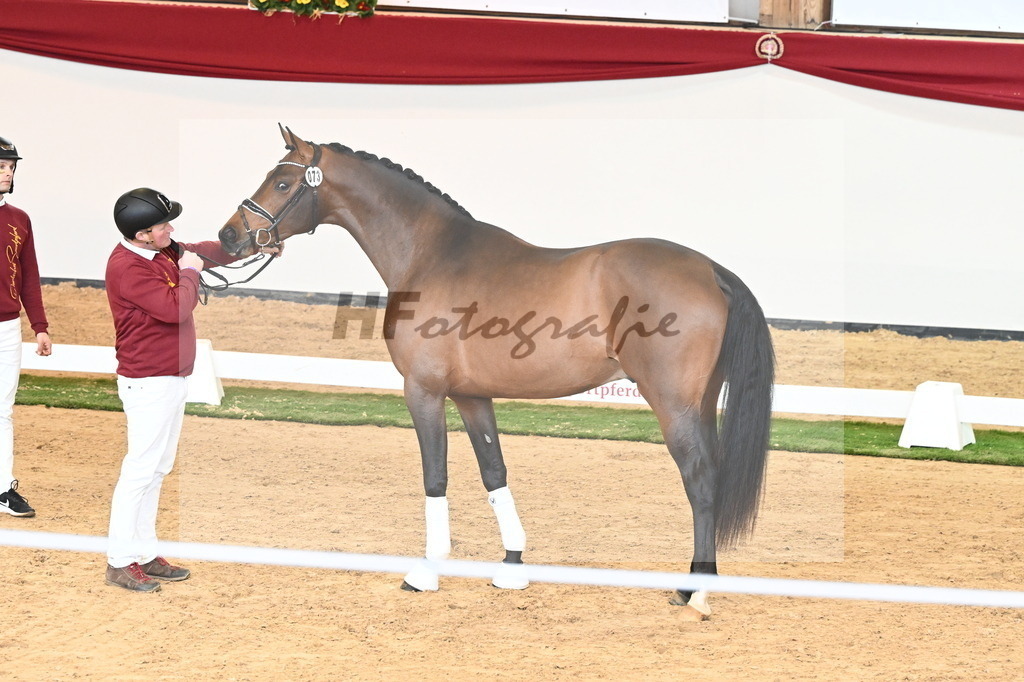 Kat.-Nr. 73 v. Va Bene_Kuntz_2240971 | hf-fotografie - Realisiert mit Pictrs.com