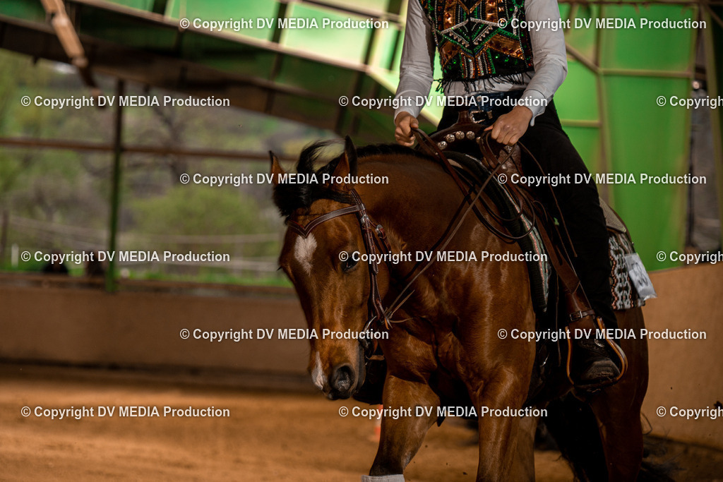 BA301292 | dv-media-shop - Realisiert mit Pictrs.com