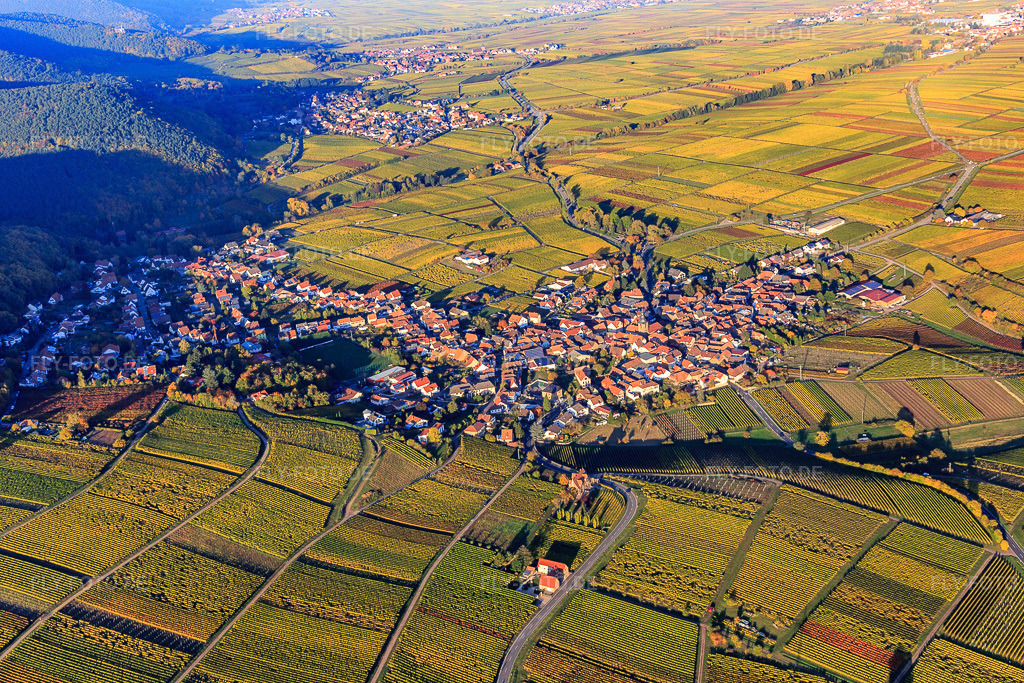 Luftbild: Winzerort zwischen Weinbergen im bunten Herbstlaub in Frankweiler im Bundesland Rheinland-Pfalz in Deutschland. Foto: IMG_095693.jpg vom 30.10.2016 durch Werner Riehm/FLY-FOTO.de