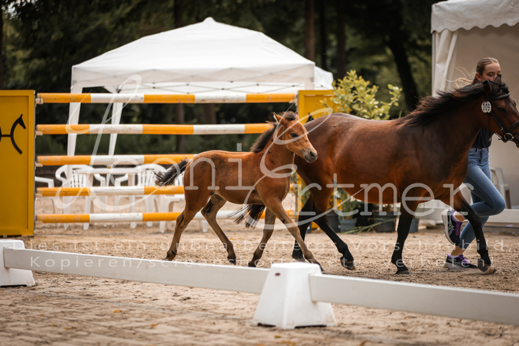 02.DoSR00070 | Leoni Ertmer Photography - Realisiert mit Pictrs.com