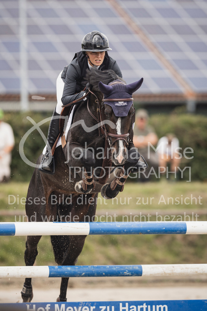250628_PfSpTa_Youngster-S-416 | Deine schönsten Turniermomente als professionelle Fotos! Entdecke hochwertige Pferdesport-Fotografie im Online-Shop. Jetzt Fotos finden & bestellen!