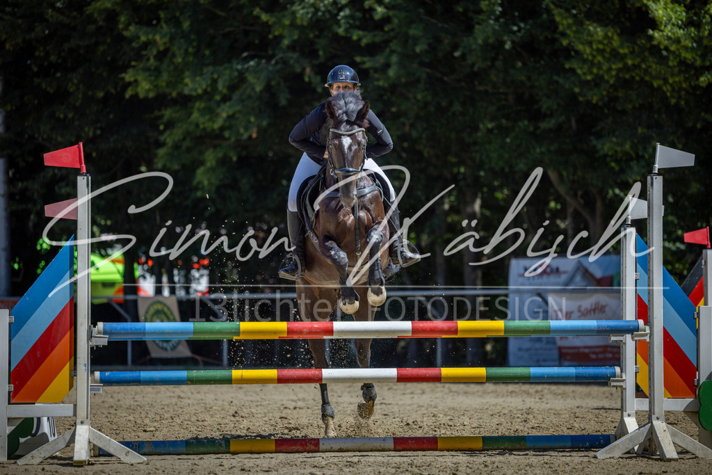 20260704-_3LI8003 | Tierfotografie Pferde, Hunde, Katzen, Haustiere.
Turnierfotografie Reitturniere, Reiten, Springreiten, Dressur in Hanau, dem Main-Kinzig-Kreis und dem Rhein-Main- Gebiet um Frankfurt