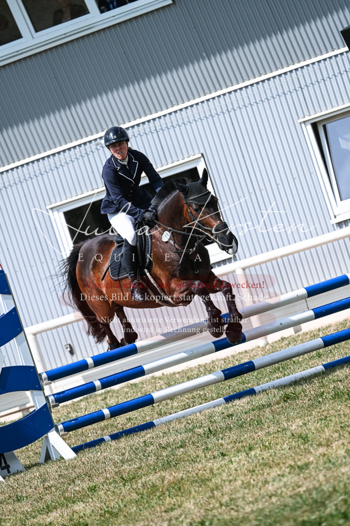 DSC_8867 | Pferde- und Turnierfotografie in Westsachsen. Pferdeportraits, Auftragszeichnungen und intuitive Kunst.