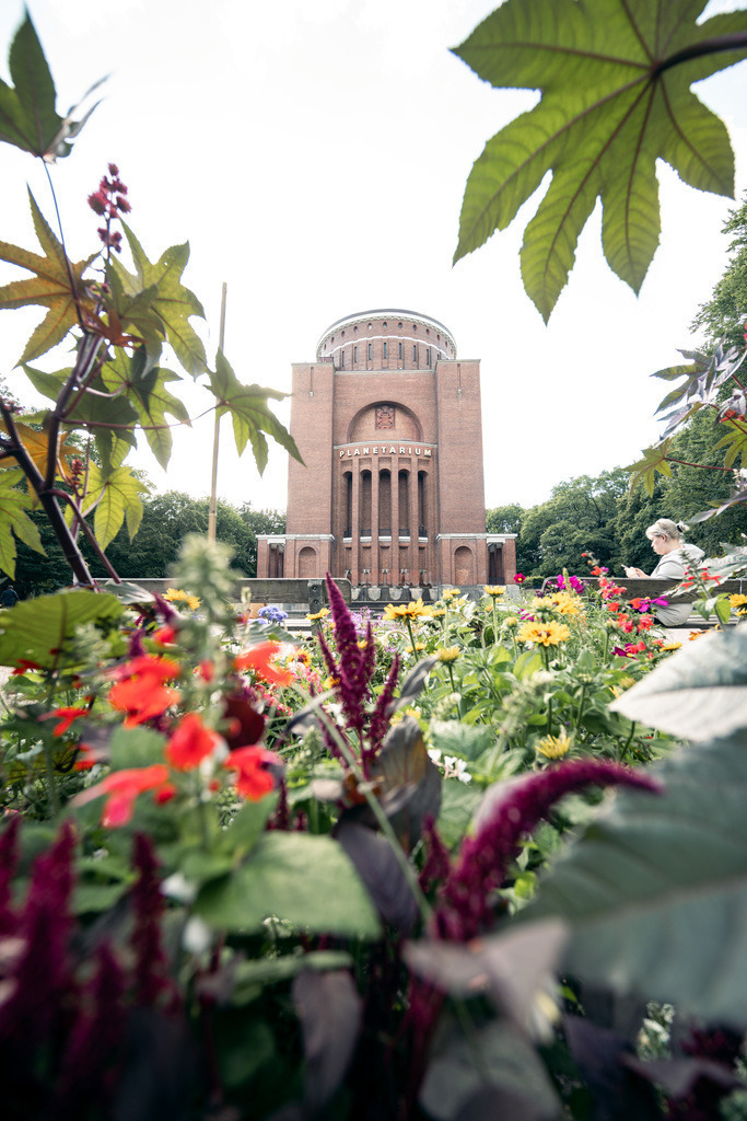 Zwischen Blüten und Architektur – Hamburg | Üppige Pflanzen und farbenfrohe Blüten rahmen das Planetarium im Hintergrund ein – ein grüner Rückzugsort mitten in Hamburg. - Realisiert mit Pictrs.com