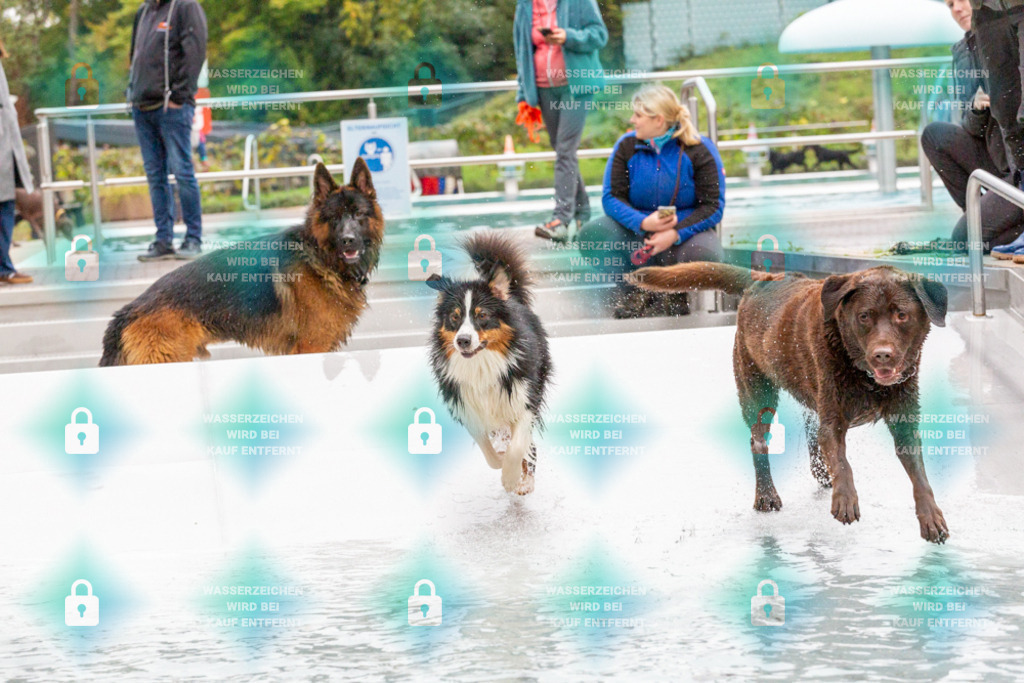 _HP_7437_1000o | HetPix, HetPix Fotodesign, Fotografie, Fotodesign, Webshop, Sportfotografie, Portraitfotografie, Onlineshop, Sportfotografie, Polch, Motorsportfotografie, Eventfotografie