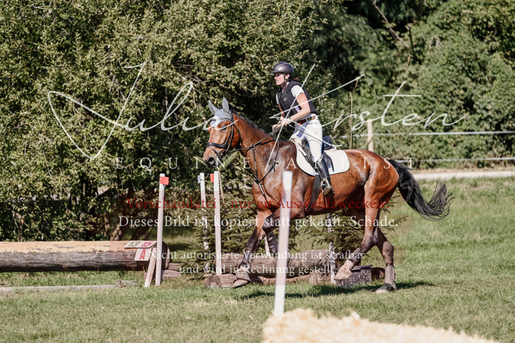 DSC_2712 | Pferde- und Turnierfotografie in Westsachsen. Pferdeportraits, Auftragszeichnungen und intuitive Kunst.