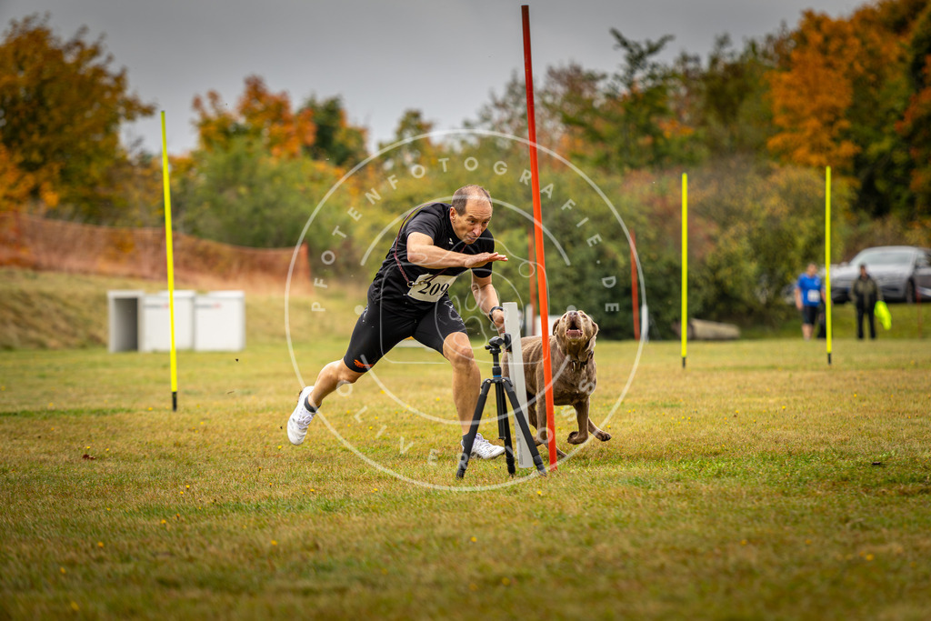 Pfotenfotografie_DV3A2321 | Hundefotografie, Tierfotograf, Pfotenfotografie, Fotoshooting Hund, Hunde Portrait, Hundesport, Hundeportraits, Heideshooting, Hunde, Sportfotograf, Hundefotograf, Turnierhundsport, THS,  - Realisiert mit Pictrs.com