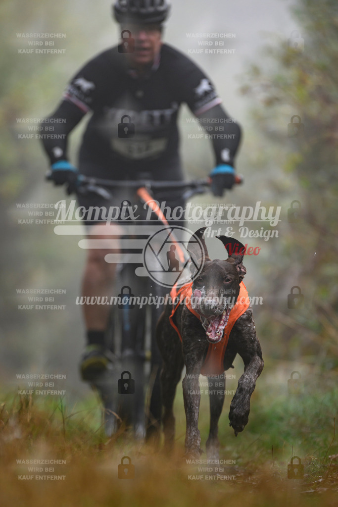MompixPhotography_20TSB_E4_Bike-133 | PayLife