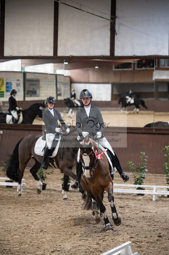 Hallenreittunier Voxtrup 2023 | Entdecke hochwertige Reitturnierfotos von Foto Oger. Professionell, emotional und authentisch – jetzt Lieblingsmomente im Shop bestellen.Deutschlandweite Turnierfotografie. - Realisiert mit Pictrs.com