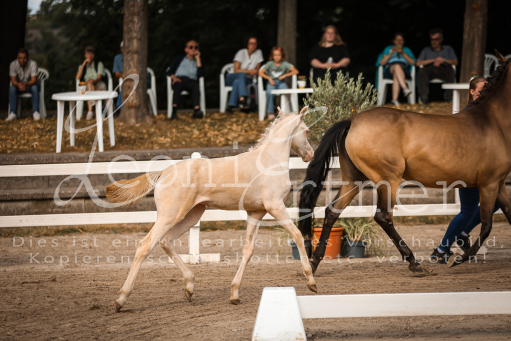 10.DoRP00041 | Leoni Ertmer Photography - Realisiert mit Pictrs.com