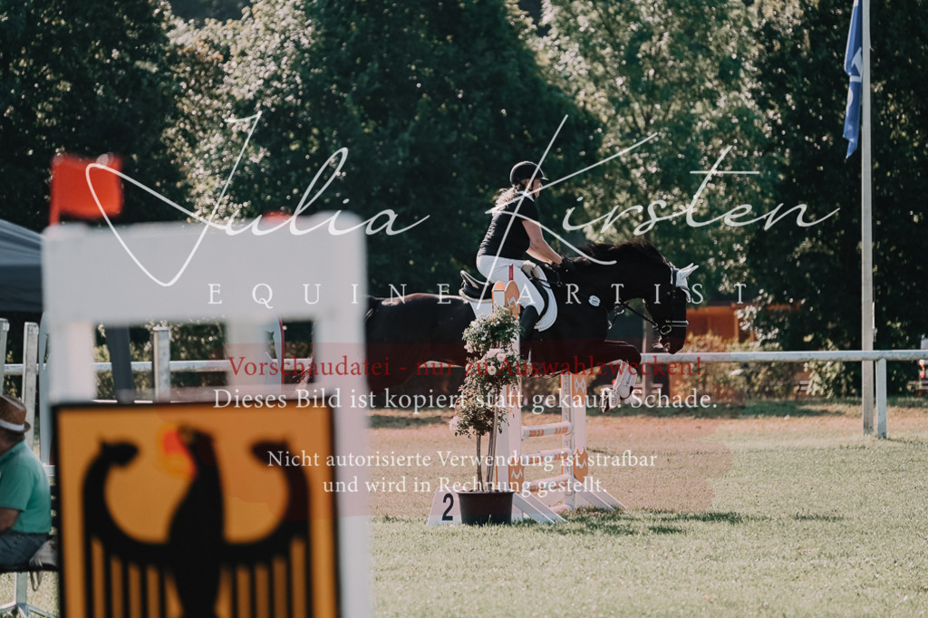 DSC_4753 | Pferde- und Turnierfotografie in Westsachsen. Pferdeportraits, Auftragszeichnungen und intuitive Kunst.