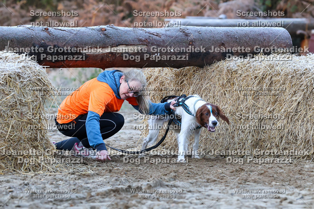 Dog Paparazzi - Strongdog 10-25-311 | Dog Paparazzi Jeanette Grottendiek Fotografie & Videografie - Realisiert mit Pictrs.com