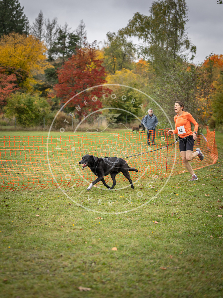 Pfotenfotografie_DV3A3078 | Hundefotografie, Tierfotograf, Pfotenfotografie, Fotoshooting Hund, Hunde Portrait, Hundesport, Hundeportraits, Heideshooting, Hunde, Sportfotograf, Hundefotograf, Turnierhundsport, THS,  - Realisiert mit Pictrs.com