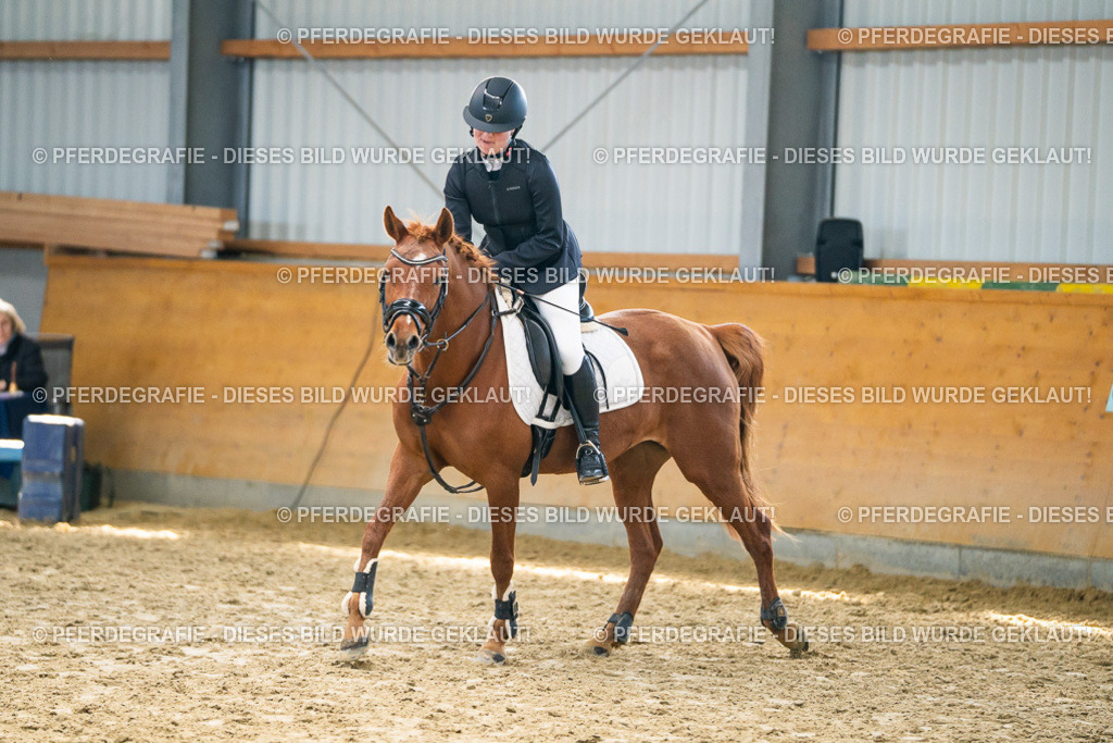 DSC01518 | Pferdegrafie