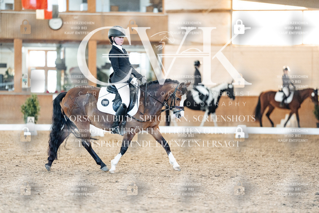 CK907482 | Turnierfotografie Pferdefotografie Trier Rheinland-Pfalz Pferdesport Reitsport Tierfotografie Sportfotografie Pferdevideo Pferdevideografie Equestrianvideography equestrianphotography  - Realisiert mit Pictrs.com